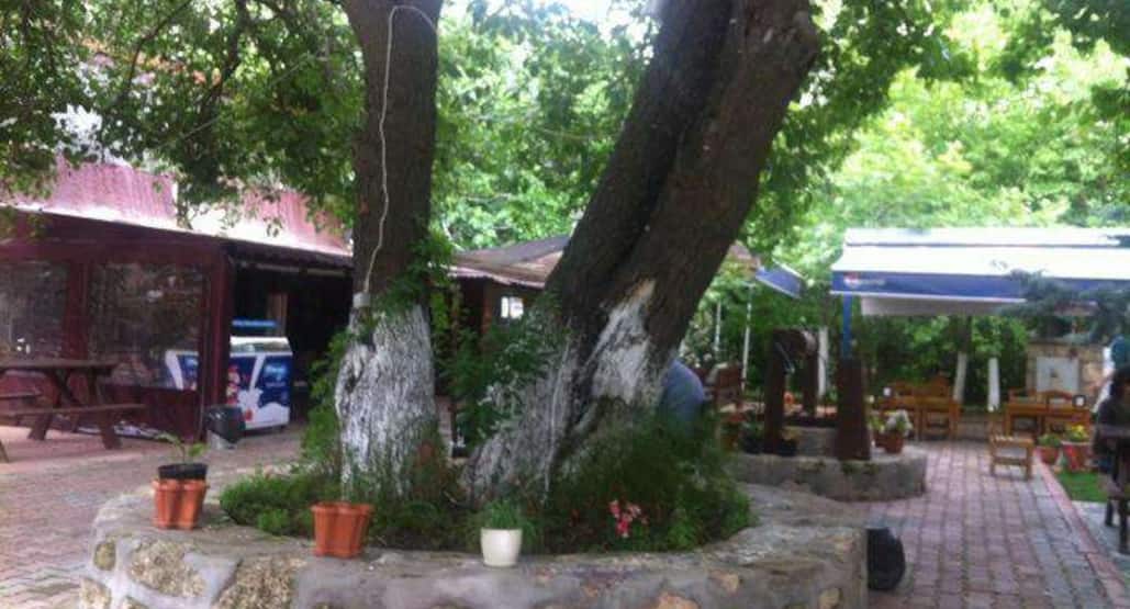 Balcali Koy Evi Saricam Adana